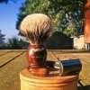 SOTD Nov 10 2015.jpg