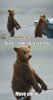funny-pictures-nothing-to-see-here-bears-stealing-boat.jpg