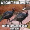 TURKEYPUN.jpg