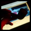 uploadfromtaptalk1448688745410.jpg