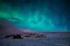 DSC_0547 small.jpg