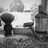 SOTD Jan 1 2016.jpg
