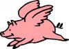 flying-pig.jpg