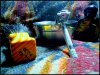 IMG_20160110_174748.jpg