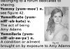 amyadamsdefined.jpg