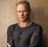 sting.jpg