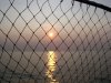Lake_Erie_Sunset_with_fish_net_640x480.JPG