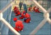 guantanamo.jpg