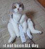 funny-pictures-cat-wii-excuse.jpg