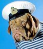 dogwearinghat.jpg