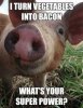 bacon super power.jpg