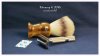 SOTD_020416.JPG