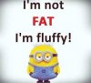 fluffy.jpg