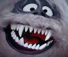 Teeth.JPG