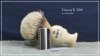 SOTD_022116.JPG
