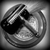 SOTD 2-26-16.JPG