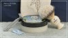 SOTD_022916.JPG
