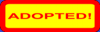 ADOPTED.png