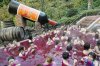 meanwhile-in-japan-wine-swimming-pool.jpg