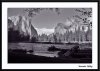 46965063.yosemitebw.jpg