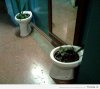 meanwhile_in_russia_part_4_640_11.jpg