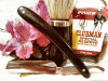 SOTD 0314206.gif
