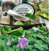 SOTD 03172016.gif