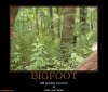 bigfoot-bigfoot-demotivational-posters-1301393712.jpg