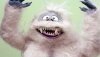 Yeti.jpeg