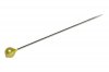 pin.jpg