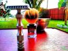 IMG_20160317_093501.jpg