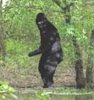 Bigfoot2.jpg