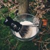SOTD Mar 18 2016.jpg