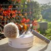 SOTD Mar 20 2016_3.jpg