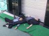 drunk in korea 3.jpg