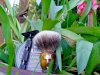 SOTD Mar 24 2016.jpg
