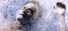 human-cryonics-700x325-jpgtb5d9ddafca7953e14a594ff8b88e98af.jpeg