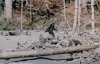 bigfoot1.jpg