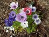 100_3255.JPG