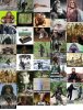 bigfoot.jpg