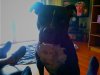IMG_20160330_082354.jpg
