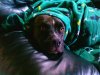 IMG_20160330_082626.jpg