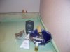 100_2392.JPG