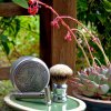 SOTD Mar 31 2016_2.jpg
