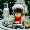 SOTD Apr 2 2016_1.jpg