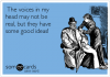 -the-voices-in-my-head-may-not-be-real-but-they-have-some-good-ideas-6161c.png