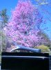DSCF0031.JPG