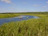 Kayakers On River By Marsh.JPG