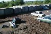 drowned_cars.jpg