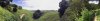 hike_pano_sml.jpg